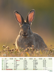 Nástenný kalendár POĽOVNÍK 2026