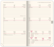 NOTIQUE Vreckový diár Panama 2026, hnedý, 9 x 15,5 cm