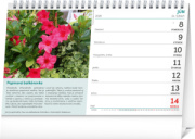 NOTIQUE Stolový kalendár Záhradkár 2026, 23,1 x 14,5 cm