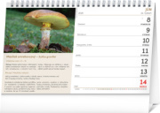 NOTIQUE Stolový kalendár Huby 2026, 23,1 x 14,5 cm
