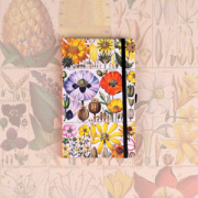 NOTIQUE Notes Herbár Kateřiny Winterové, bodkovaný, 13 x 21 cm