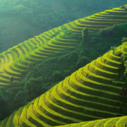 NOTIQUE Poznámkový kalendár Naša planéta 2026, 30 x 30 cm