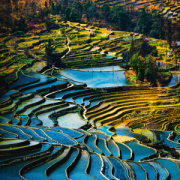 NOTIQUE Poznámkový kalendár Naša planéta 2026, 30 x 30 cm