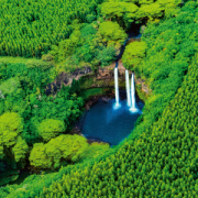 NOTIQUE Poznámkový kalendár Dažďové pralesy 2026, 30 x 30 cm