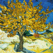 NOTIQUE Poznámkový kalendár Vincent van Gogh 2026, 30 x 30 cm