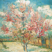 NOTIQUE Poznámkový kalendár Vincent van Gogh 2026, 30 x 30 cm