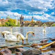 NOTIQUE Poznámkový kalendár Praha 2026, 30 x 30 cm