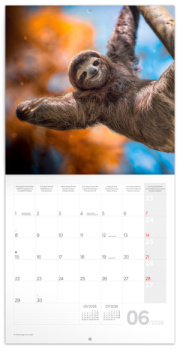 NOTIQUE Poznámkový kalendár Úsmev, prosím 2026, 30 x 30 cm