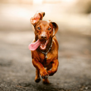 NOTIQUE Poznámkový kalendár Úsmev, prosím 2026, 30 x 30 cm