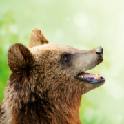 NOTIQUE Poznámkový kalendár Úsmev, prosím 2026, 30 x 30 cm