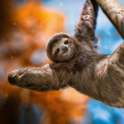 NOTIQUE Poznámkový kalendár Úsmev, prosím 2026, 30 x 30 cm