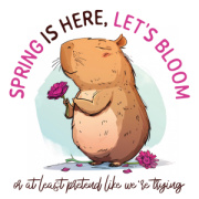 NOTIQUE Poznámkový kalendár Roztopašné kapybary 2026, 30 x 30 cm