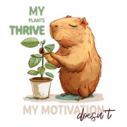 NOTIQUE Poznámkový kalendár Roztopašné kapybary 2026, 30 x 30 cm