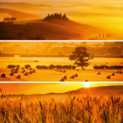 NOTIQUE Poznámkový kalendár Paleta 2026, 30 x 30 cm