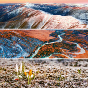 NOTIQUE Poznámkový kalendár Paleta 2026, 30 x 30 cm