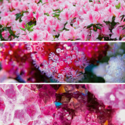 NOTIQUE Poznámkový kalendár Paleta 2026, 30 x 30 cm