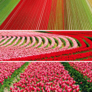 NOTIQUE Poznámkový kalendár Paleta 2026, 30 x 30 cm