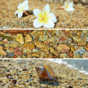 NOTIQUE Poznámkový kalendár Paleta 2026, 30 x 30 cm