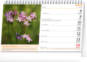 NOTIQUE Stolový kalendár Prírodná lekáreň CZ 2026, 23,1 x 14,5 cm