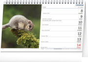 NOTIQUE Stolový Poľovnícky kalendár CZ 2026, 23,1 x 14,5 cm