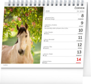 NOTIQUE Stolový kalendár Poézie koní CZ 2026, 16,5 x 13 cm