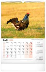 NOTIQUE Nástenný kalendár Poľovnícky CZ 2026, 33 x 46 cm