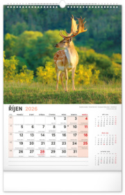 NOTIQUE Nástenný kalendár Poľovnícky CZ 2026, 33 x 46 cm