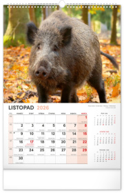 NOTIQUE Nástenný kalendár Poľovnícky CZ 2026, 33 x 46 cm