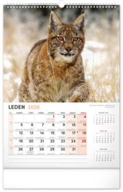 NOTIQUE Nástenný kalendár Poľovnícky CZ 2026, 33 x 46 cm