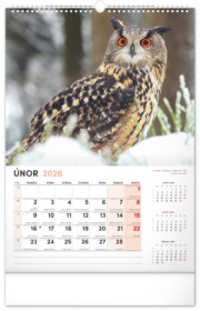 NOTIQUE Nástenný kalendár Poľovnícky CZ 2026, 33 x 46 cm