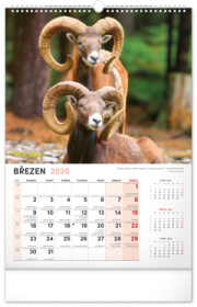 NOTIQUE Nástenný kalendár Poľovnícky CZ 2026, 33 x 46 cm