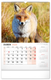 NOTIQUE Nástenný kalendár Poľovnícky CZ 2026, 33 x 46 cm