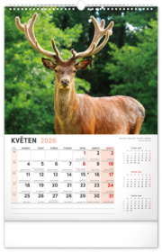 NOTIQUE Nástenný kalendár Poľovnícky CZ 2026, 33 x 46 cm