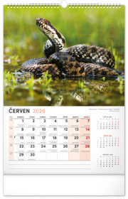 NOTIQUE Nástenný kalendár Poľovnícky CZ 2026, 33 x 46 cm