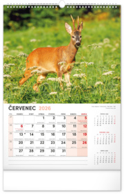 NOTIQUE Nástenný kalendár Poľovnícky CZ 2026, 33 x 46 cm