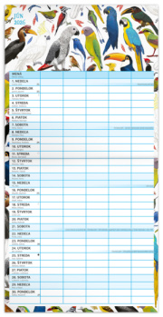 NOTIQUE Rodinný plánovací kalendár Animalium 2026, 30 x 30 cm