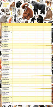 NOTIQUE Rodinný plánovací kalendár Animalium 2026, 30 x 30 cm