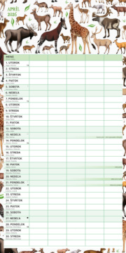 NOTIQUE Rodinný plánovací kalendár Animalium 2026, 30 x 30 cm