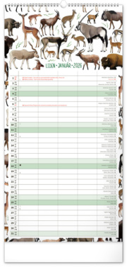 NOTIQUE Nástenný kalendár Rodinný plánovací Animalium CZ/SK 2026, 21 x 42 cm