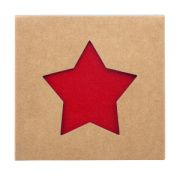 Vagnes sada vianočných podtáckov z RPET