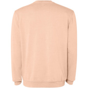 Jaya unisex sveter s okrúhlym výstrihom (crewneck) - Roly