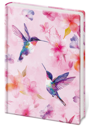 Zápisník Vario XL linajkový - Colibri