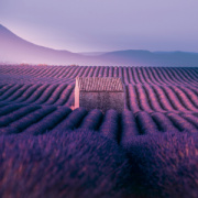 NOTIQUE Poznámkový kalendár Provence 2027, 30 x 30 cm