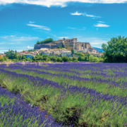 NOTIQUE Poznámkový kalendár Provence 2027, 30 x 30 cm