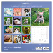 NOTIQUE Grid calendar Kittens 2027, 30 x 30 cm