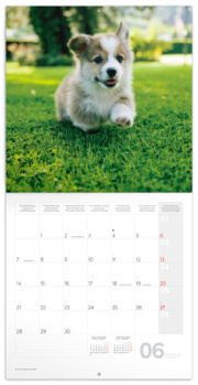 NOTIQUE Grid calendar Animal Cuties 2027, 30 x 30 cm