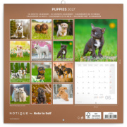 NOTIQUE Grid calendar Puppies 2027, 30 x 30 cm