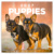 NOTIQUE Grid calendar Puppies 2027, 30 x 30 cm