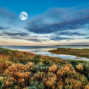 NOTIQUE Grid calendar The Moon 2027, 30 x 30 cm