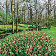 NOTIQUE Grid calendar Gardens 2027, 30 x 30 cm
